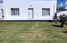 Pineapple Studio - Photo 4