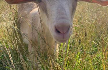 Gutshaus Schwarzenhof - Foto 26