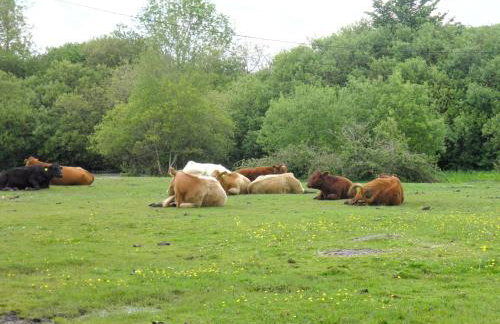 Weavers Lodge - Foto 16