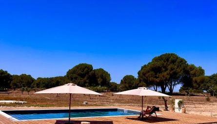 Monte da Aferrada - Casas do Monte - Foto 5