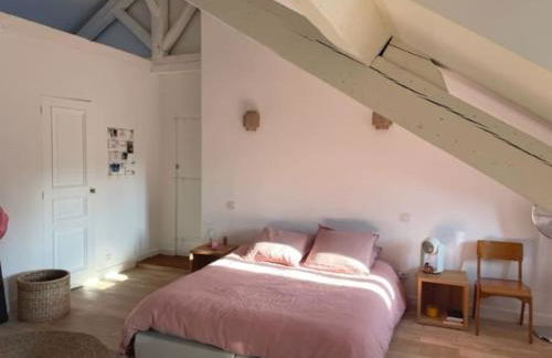 Grande chambre indépendante, charme, calme sur jardin, Nantes centre, accès privé par escalier de l'immeuble, sdb & wc privés, 10 minutes gare et palais des congrès - Foto 4