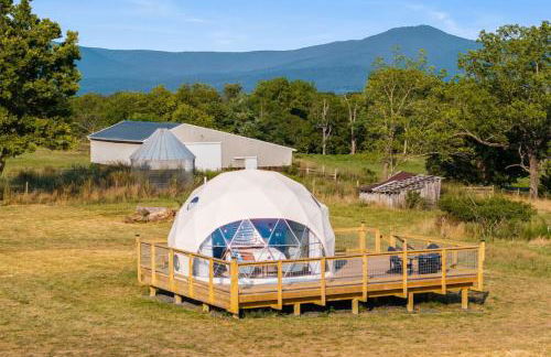 Faraway Geodome with Views - Photo 8