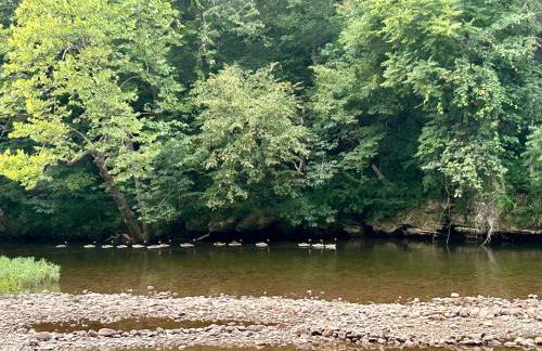 Getaway on Little River - Foto 44