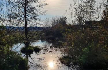 Ferienwohnung Niederrhein Blick - Foto 27