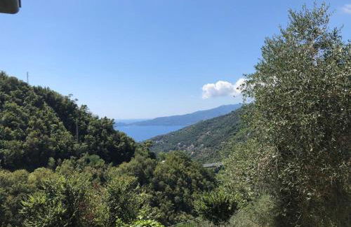 Casa Madeleine - Foto 14