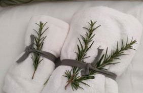 Quinta da Barbosa - Foto 19