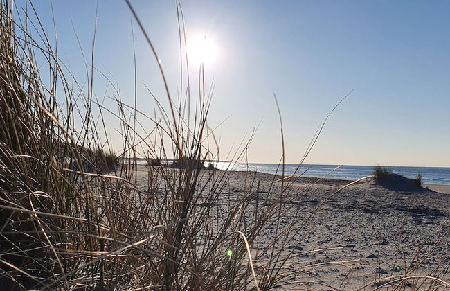 Holiday Home in Zeeland With Sauna - Photo 39