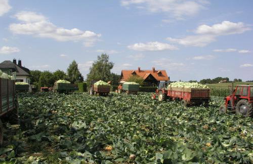 OAK COTTAGE - Foto 38