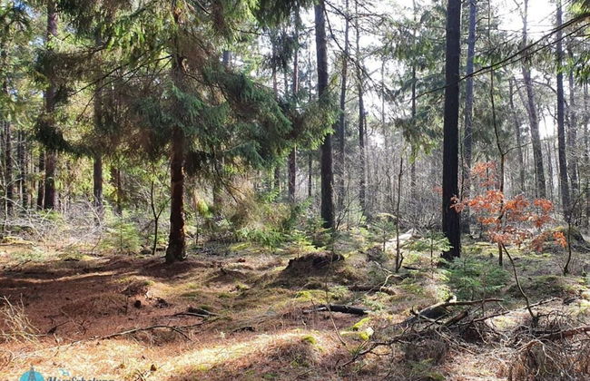 Heidhohn Comfortable Holiday Residence - Foto 22