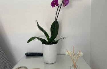Olea in the city - Foto 46