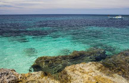 Pia Apartments - Photo 32