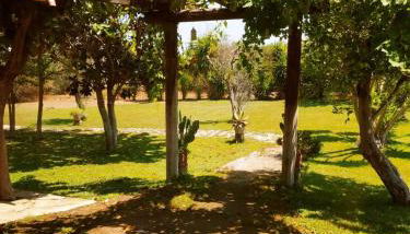 Li Papi - Foto 4, Garden