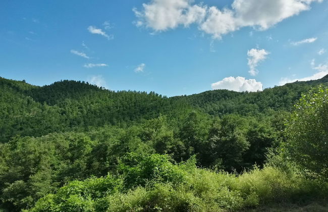 La Casella - Photo 32