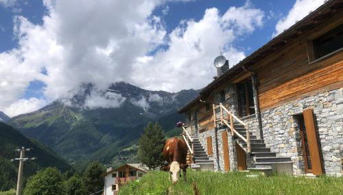 Baita Chalet La Masun beautiful view - Foto 4