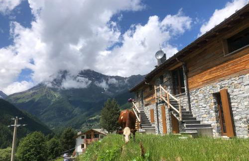 Baita Chalet La Masun beautiful view - Foto 4