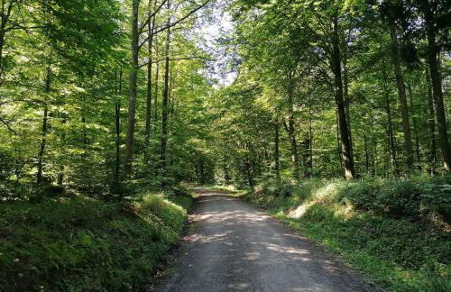 Ferienwohnungen Brack in Gaggenau - Foto 18