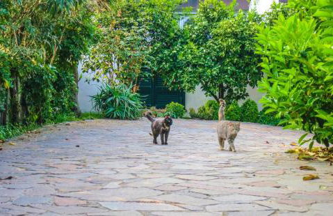 Appartamenti Casescauri - Foto 29