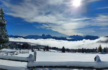 HAUSERHOF Farmhouse with Dolomite View - Foto 71