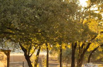 Luxury Lake House w/ Heated Pool & Multiple Spas - Foto 65