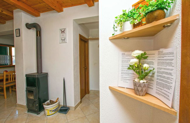 House Pansy - Foto 20