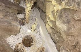 Le Petit Bijou di Dolceacqua, per un momento romantico - Foto 10