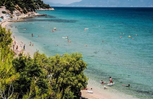 PIOTROWSKI APARTMENTS - Foto 40