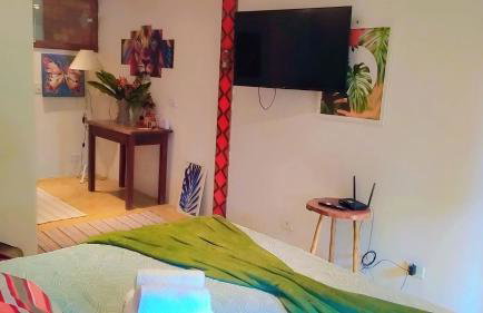 Estrela da noite - Foto 21