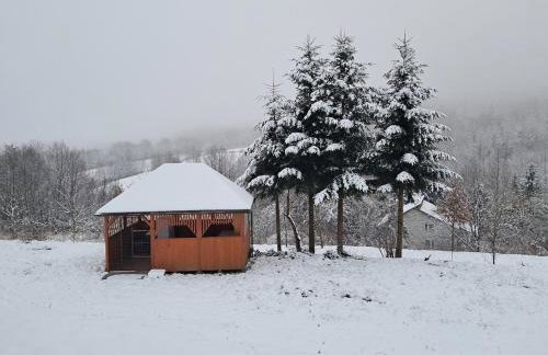 Sowie Zacisze Dom na wynajem - Foto 15