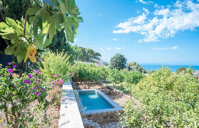 Villa Albachiara in Capri - Foto 47
