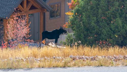 Bear Lake Vacation Station - Foto 3