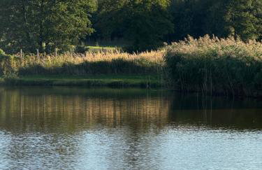 Chatka nad Stawami - Photo 31
