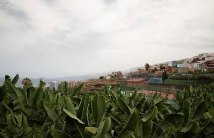 Casa Tulipanes & Spa - Photo 17