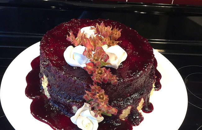 Pedra Nova - Turismo d'aldeia - Photo 38