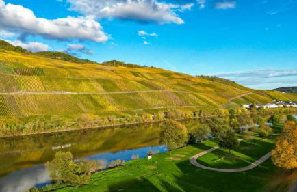 Moselappartements by Weingut Marco Adamy - Foto 25