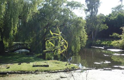 La louisiane - Foto 14