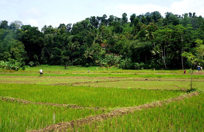 Captain's Bungalow - Foto 9