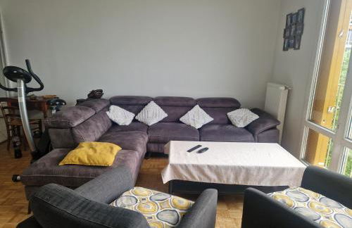 T4/5 avec vue sur les Alpes à 5 minutes de Lyon - Foto 7