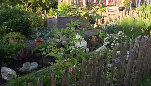 Bauniglerhof - Foto 5