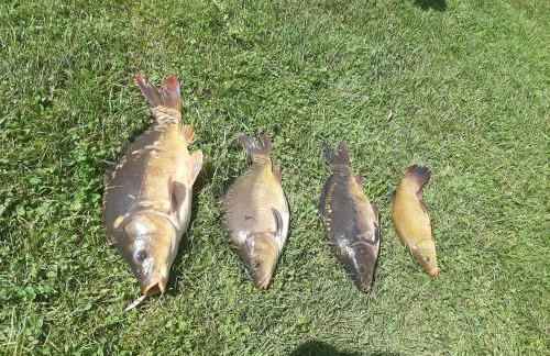 Agroturystyka w Dolinie Stawów - Photo 40