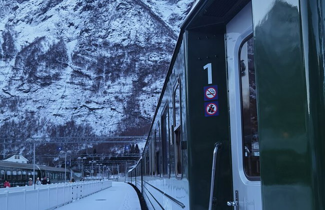 1 Tagestour von Bergen nach Flåm, Nærøyfjord Cruise & Stegastein - Foto 5
