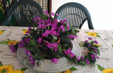 Villa Margherita - Foto 17