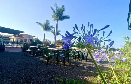 Nashira HOT TUB PISCINA Y JARDIN - Foto 66