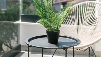 Apartmani Toma - Foto 5