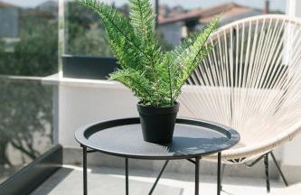 Apartmani Toma - Photo 5