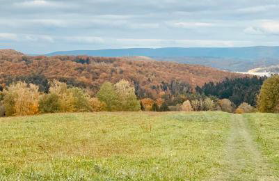 Polańczyk Dom, Apartamenty - Leśny Domek Polańczyk - Photo 55
