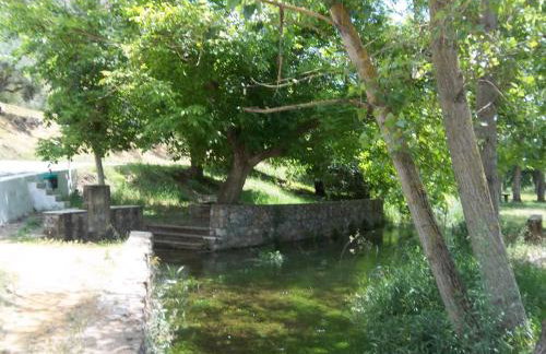 homonatura petrinum - Foto 38