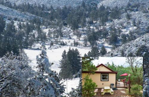 Historical Cabin in Julian Pet's okay! - Foto 30