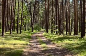 Gościniec Zacisze w Kłodnicy - Foto 51