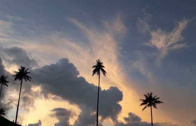 Itinerario privato di trekking a El Bosque + Terme di Canaán - Foto 5