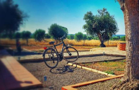 Montinho do Poço - Photo 13